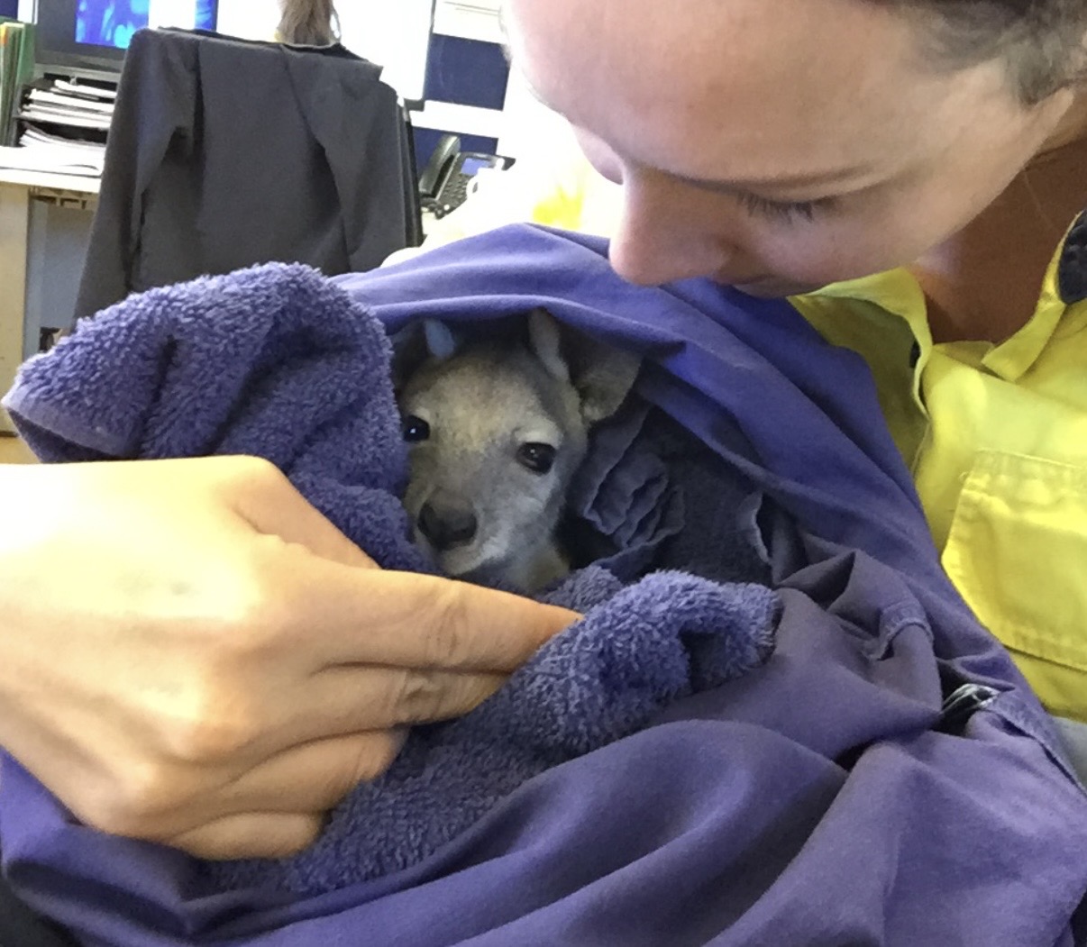 Andrea Johnstone caring for wildlife