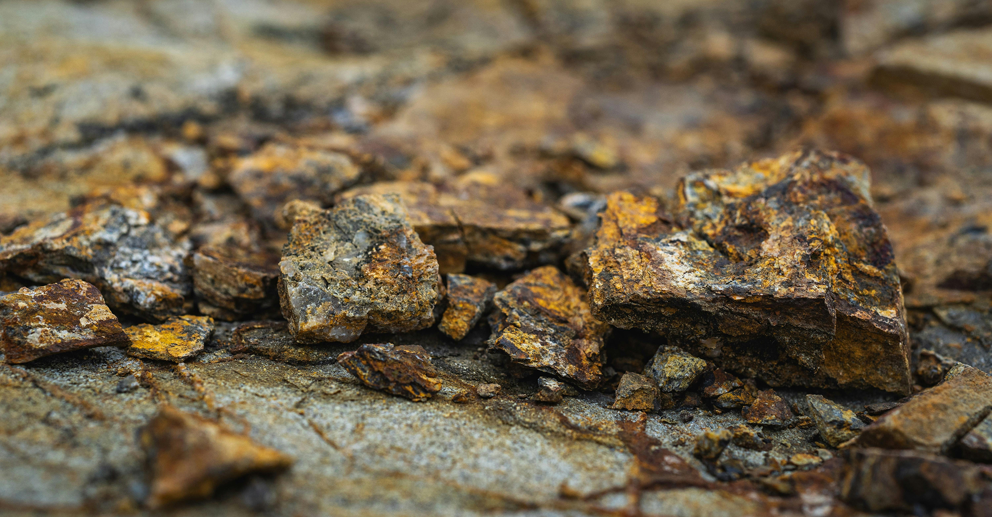 Raw gold and silver ore minerals
